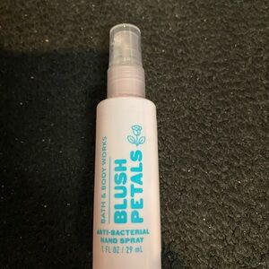 Bath & Body Works Blush Petals Anti-Bacterial Hand Spray